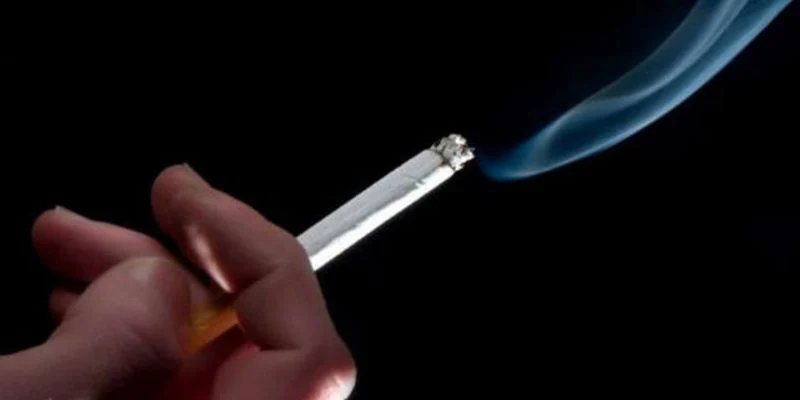 Fiocruz alerta para malefícios ambientais do tabaco