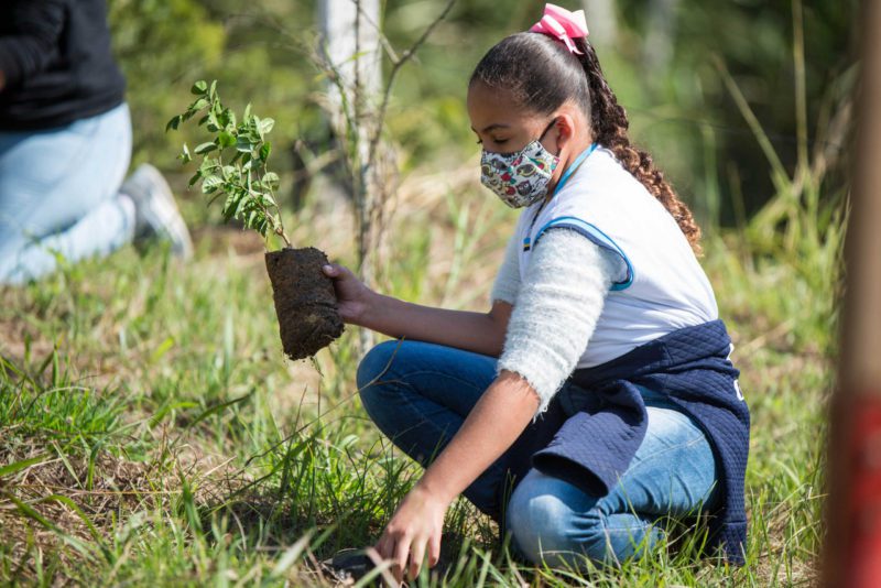 Secretaria de Meio Ambiente de Barra Mansa divulga resultado de Gincana Sustentável – Barra Mansa