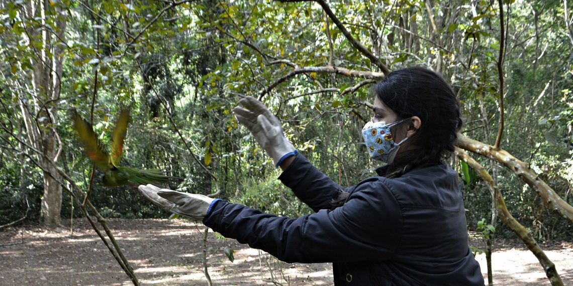 Zoológico Municipal faz soltura de 26 animais em Volta Redonda