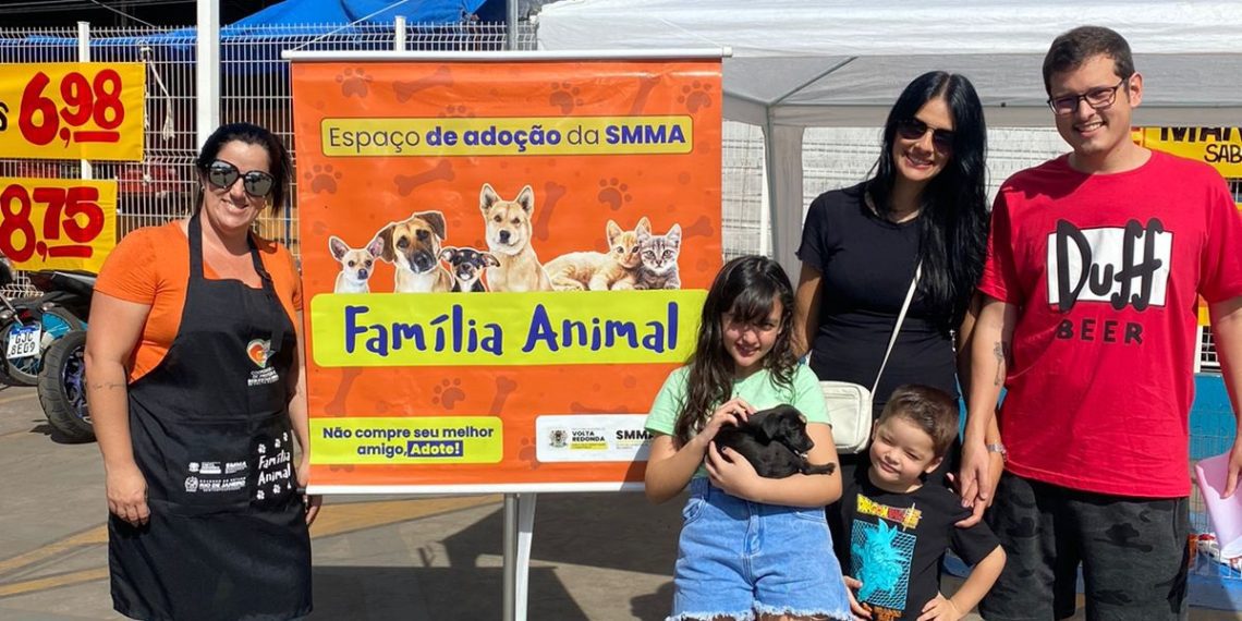 Cães e gatos são adotados no espaço da Prefeitura de Volta Redonda