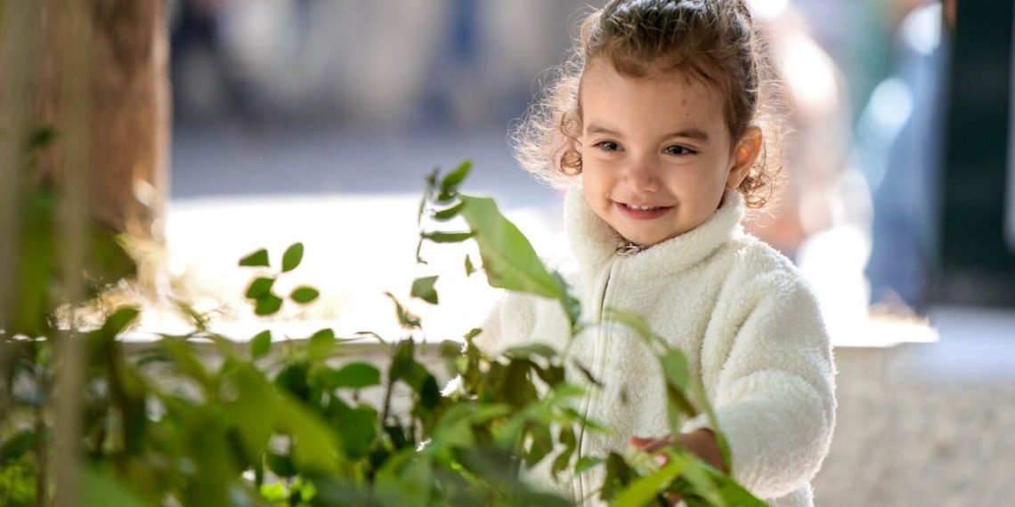 Educação ambiental e doação de mudas abrem a Semana do Meio Ambiente em Barra Mansa – Barra Mansa