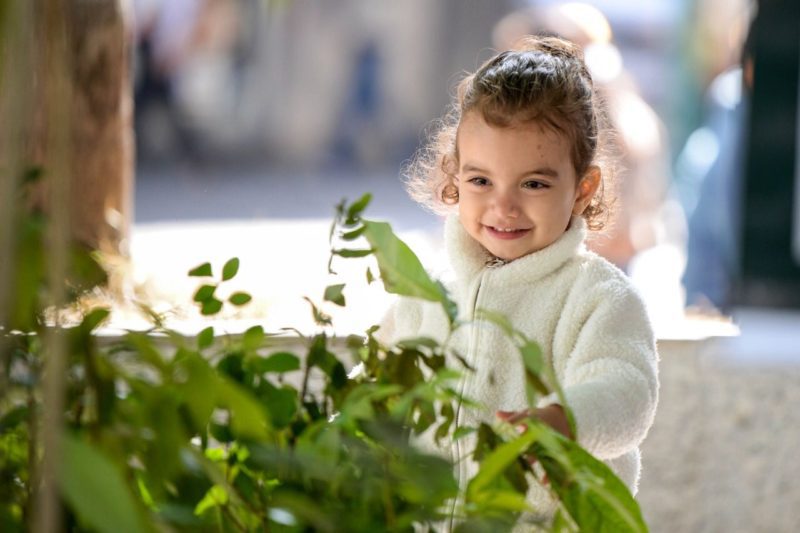 Educação ambiental e doação de mudas abrem a Semana do Meio Ambiente em Barra Mansa – Barra Mansa