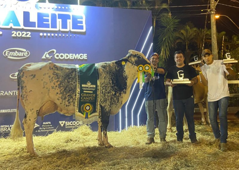 Barra Mansa é destaque na ‘Mega Leite 2022' – Barra Mansa