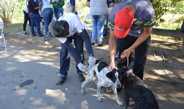 RESENDE VACINA CÃES E GATOS CONTRA A RAIVA NA REGIÃO RURAL NO PRÓXIMO SÁBADO, DIA 30