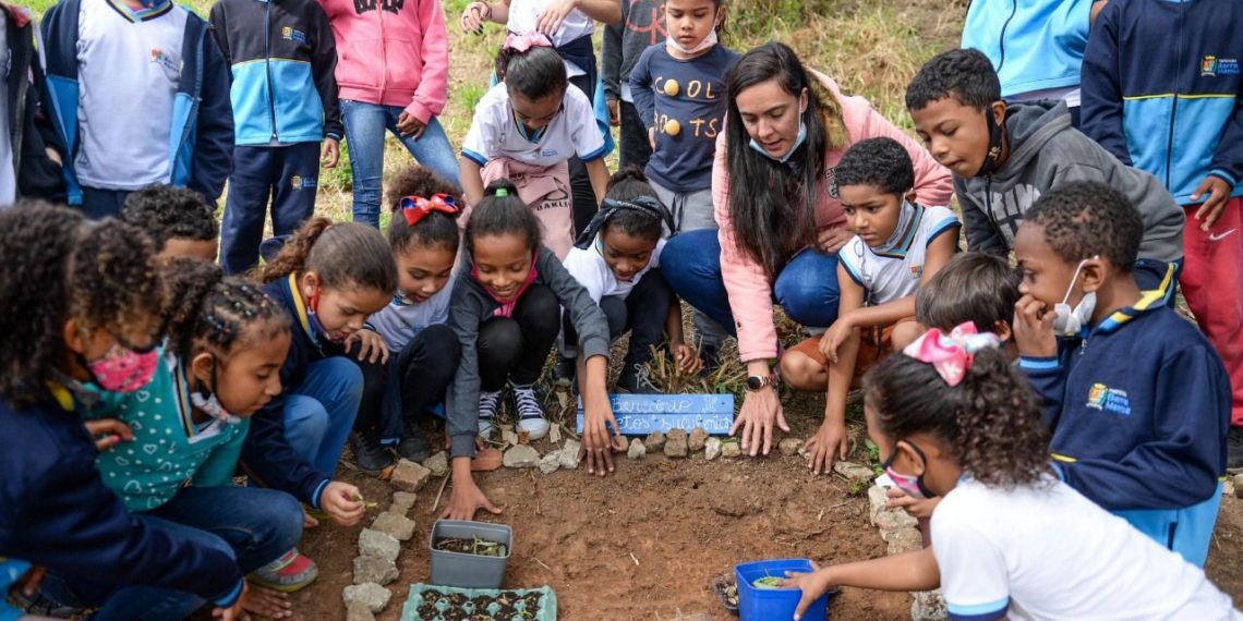 Alunos de escola municipal de Barra Mansa produzem berçário de plantas – Barra Mansa