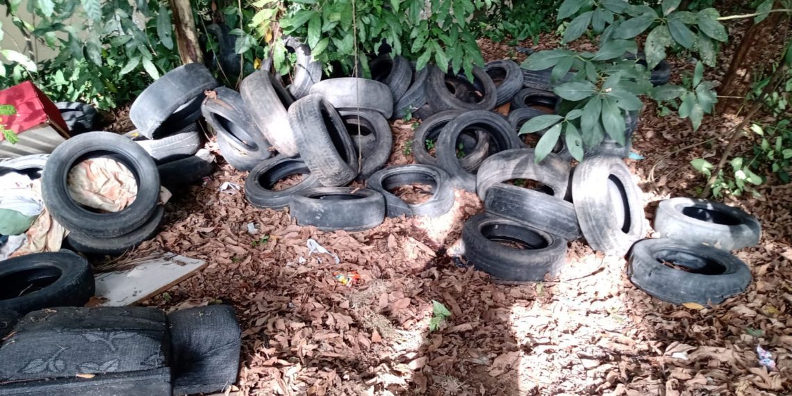 Meio Ambiente recolhe pneus descartados irregularmente às margens do Rio Bananal – Barra Mansa