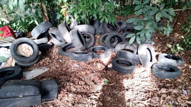 Meio Ambiente recolhe pneus descartados irregularmente às margens do Rio Bananal – Barra Mansa