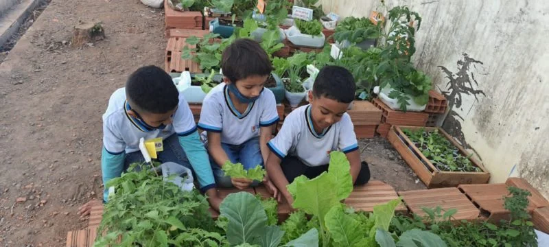 Projeto de horta orgânica é desenvolvido em escola de Barra Mansa – Barra Mansa