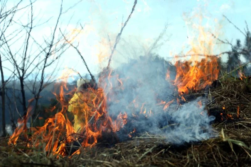 Guarda Ambiental de Barra Mansa realiza patrulhamento preventivo contra queimadas – Barra Mansa