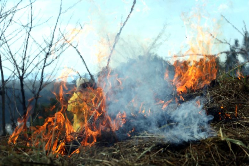 Guarda Ambiental de Barra Mansa realiza patrulhamento preventivo contra queimadas – Barra Mansa