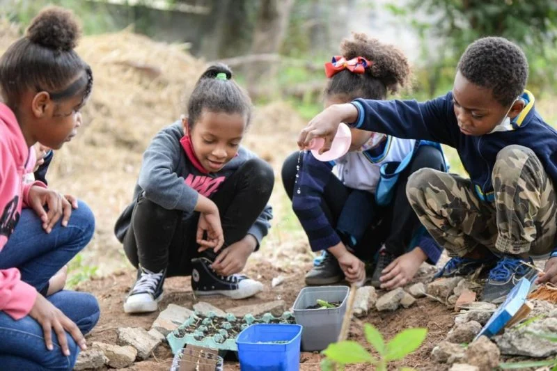 Escola Socioambiental de Barra Mansa é semifinalista em premiação – Barra Mansa