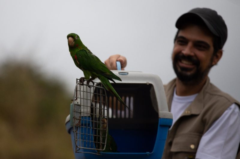 Zoológico de Volta Redonda faz a soltura de 15 aves silvestres