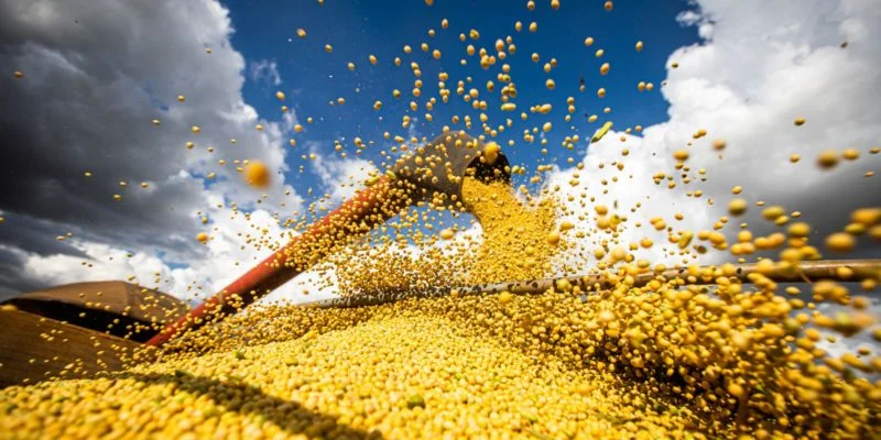 Conab diz que produção de grãos deve atingir 308 milhões de toneladas