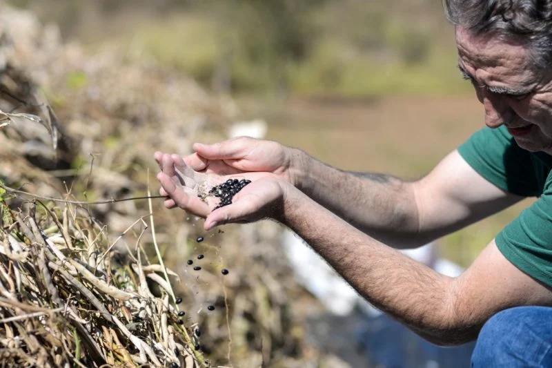 Barra Mansa anuncia ‘Cadastro Ambiental Rural’ para produtores do município – Barra Mansa
