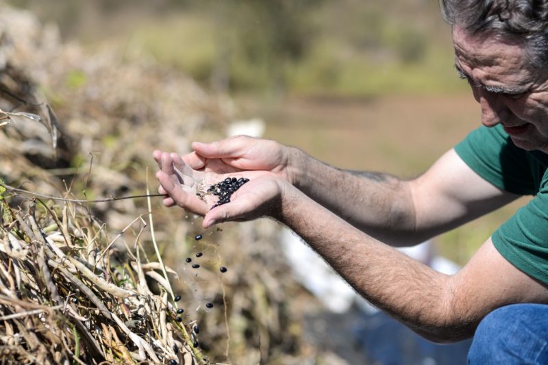 Barra Mansa anuncia ‘Cadastro Ambiental Rural’ para produtores do município – Barra Mansa