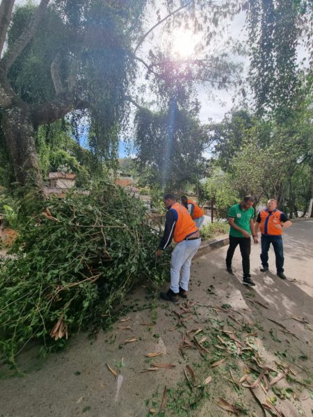 Barra Mansa registra queda de árvore na Vila Coringa em passagem de ciclone extratropical pela região – Barra Mansa