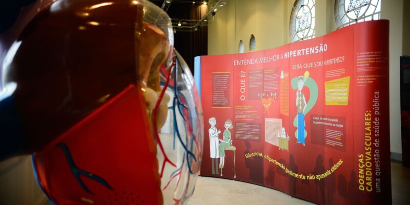 Sociedade de Cardiologia promove campanha no Dia Mundial do Coração
