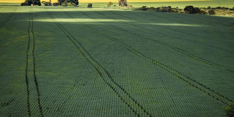 CMN aumenta prazo para análise de pedidos ao Proagro