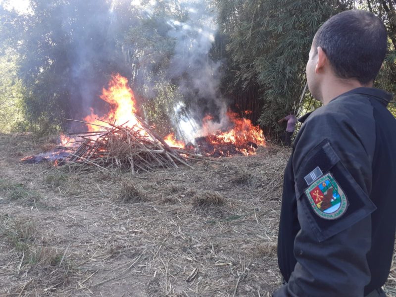 Guarda Ambiental de Barra Mansa autua homem por provocar incêndio em área de mata – Barra Mansa