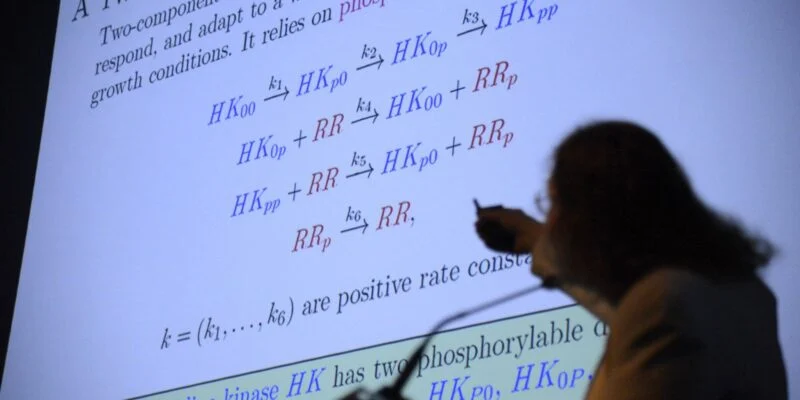 Encontro debate ensino atraente e criativo da matemática