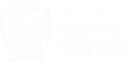 Barra Mansa Logo