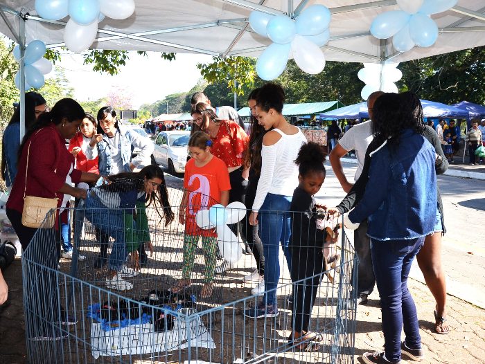 RESENDE PROMOVE NOVA FEIRA DE ADOÇÃO PARA PROPORCIONAR NOVO LAR A CÃES E GATOS