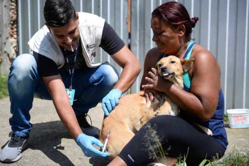 Barra Mansa leva vacinação antirrábica aos distritos da cidade – Barra Mansa