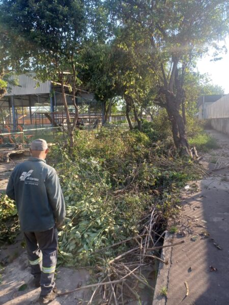 ‘Motopoda’ vai ampliar o serviço de poda de árvores em Volta Redonda