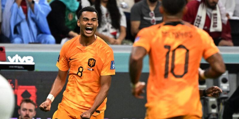 Holanda supera Catar por 2 a 0 para avançar como primeira do Grupo A