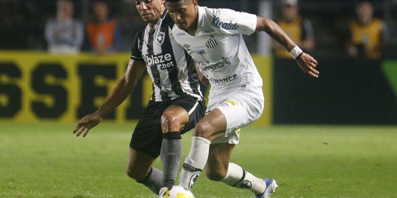 De olho em vaga na Libertadores, Botafogo recebe o Santos