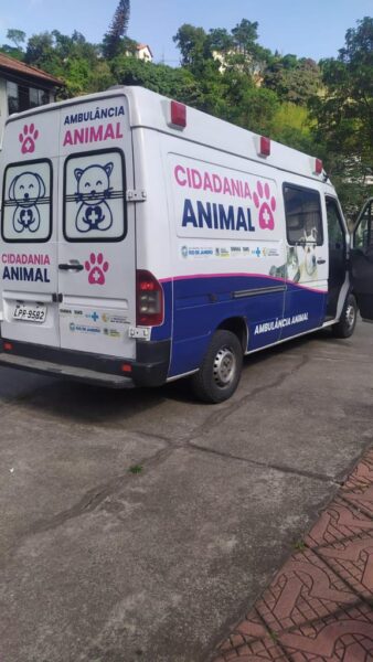 Volta Redonda ajuda mais de mil animais com castrações gratuitas