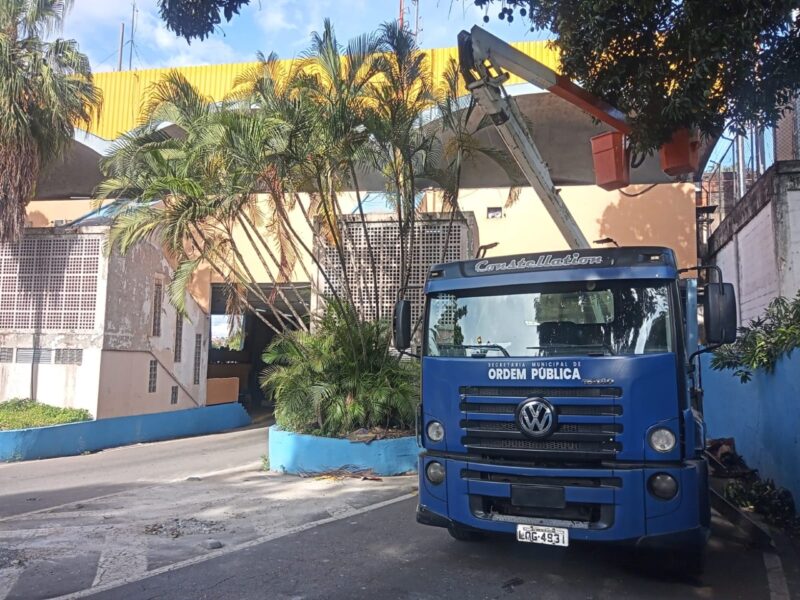 Ordem Pública realiza poda de segurança no entorno da Rodoviária de Volta Redonda
