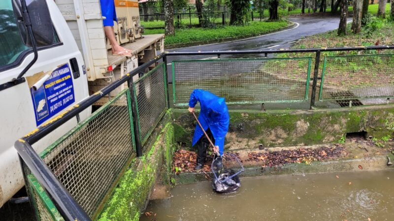Volta Redonda: ‘Pesque e Não Pague’ recebe 300 quilos de tilápia