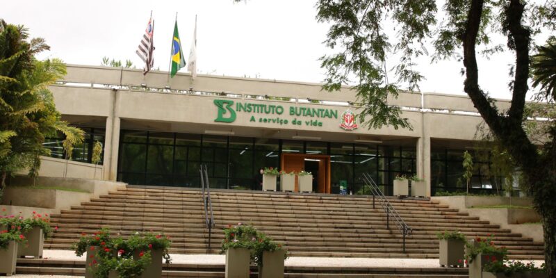 Vacina contra a dengue do Butantan atinge eficácia de 79,6%