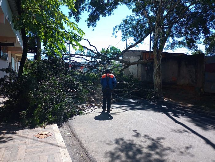 PREFEITURA DE RESENDE REALIZA LIMPEZA E RETIRADAS DE ÁRVORES, APÓS FORTES CHUVAS NA ÚLTIMA QUINTA-FEIRA, DIA 30