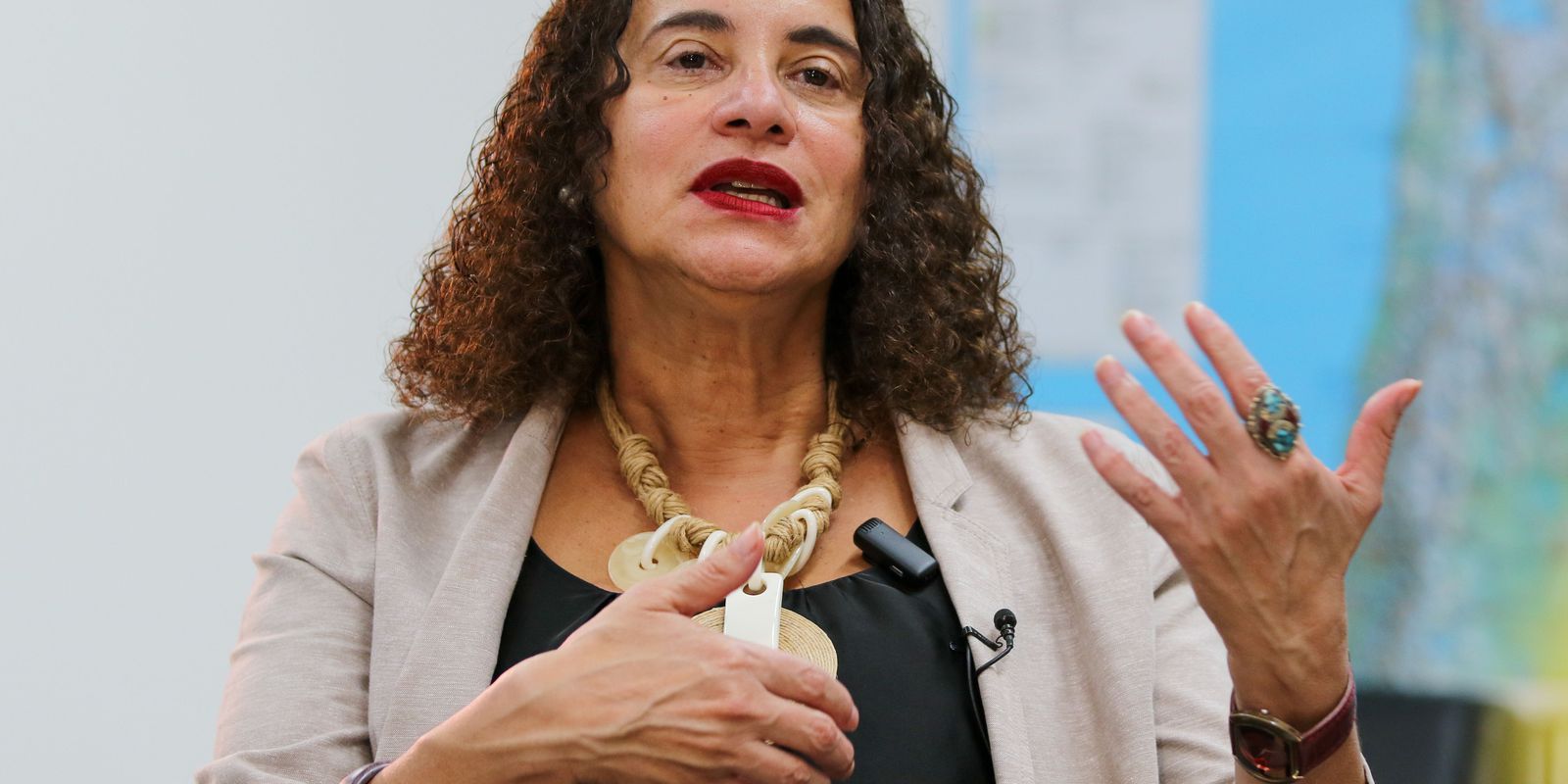 Brasil tem desafios na Ciência, Tecnologia e Inovação, afirma ministra