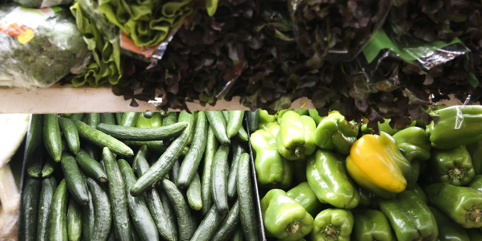 Feira Nacional da Reforma Agrária começa quinta-feira em São Paulo