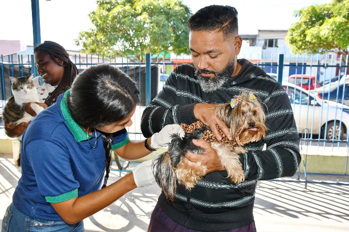 MORADORES DA REGIÃO DE VISCONDE DE MAUÁ PODERÃO VACINAR CÃES E GATOS CONTRA A RAIVA NESTE SÁBADO