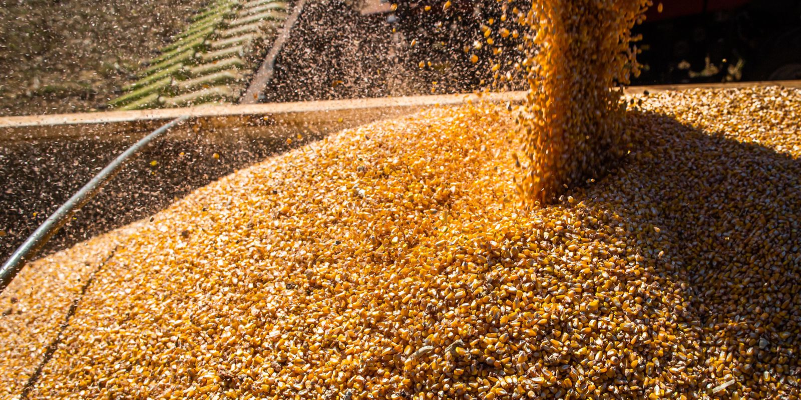 Após 6 anos, Conab retoma política de estoques públicos de alimentos