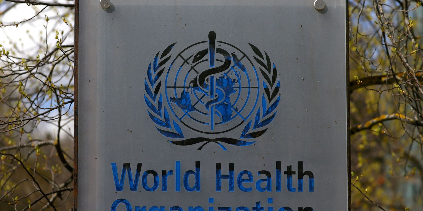 Dia Mundial da Hepatite: OMS quer melhorar enfrentamento da doença