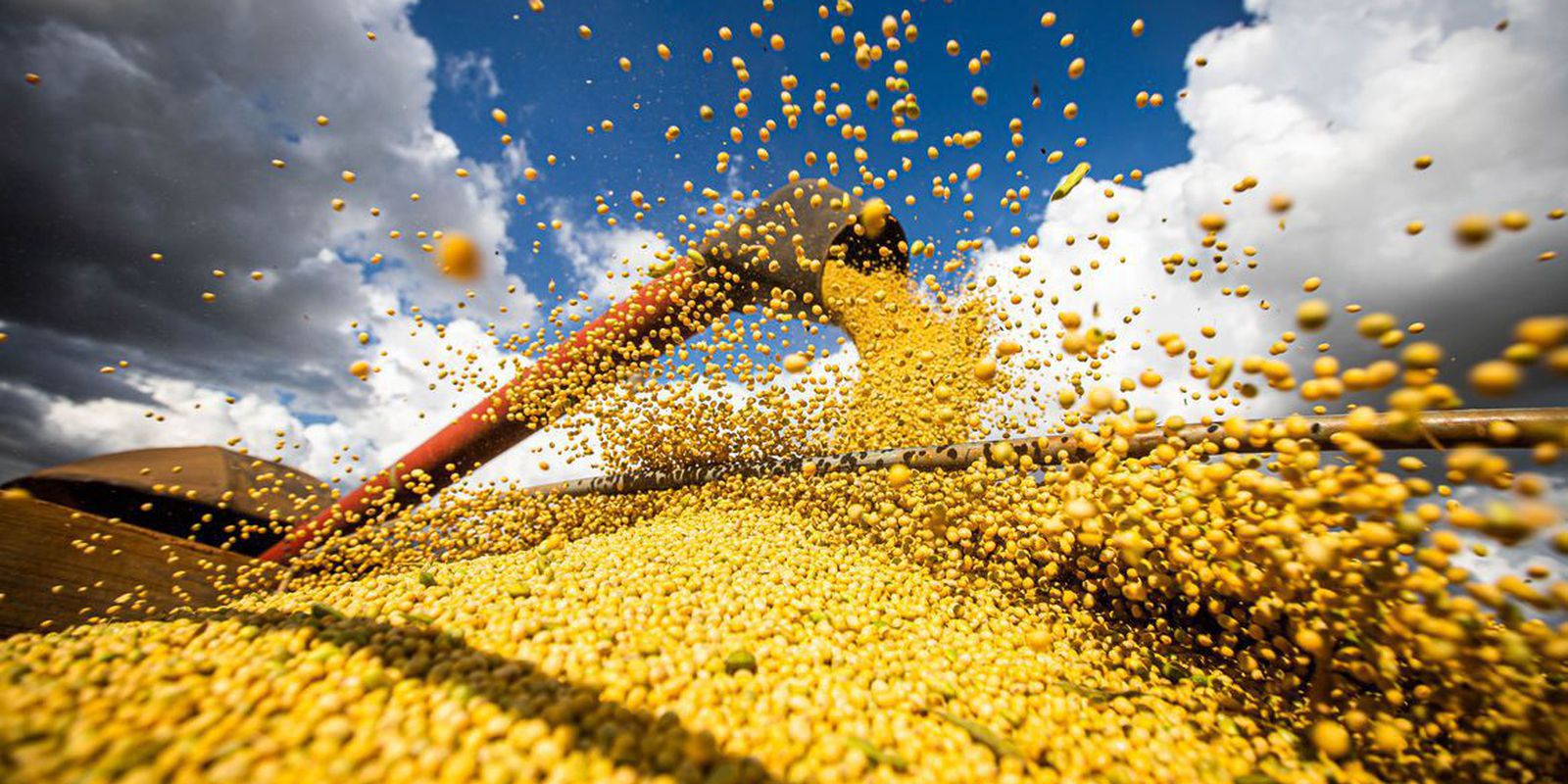 Produção de grãos chegará a 390 milhões de toneladas em 10 anos