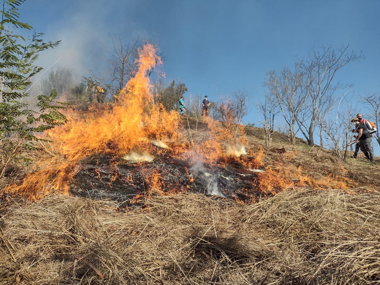Guarda Ambiental de Barra Mansa realiza patrulhamento preventivo contra queimadas – Barra Mansa
