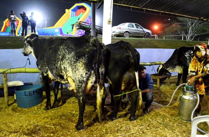 TRADICIONAL TORNEIO LEITEIRO DA VILA DA FUMAÇA CHEGA A MAIS UMA EDIÇÃO 