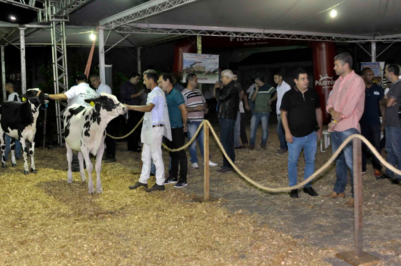 Abertura da Expo Girolando acontece nesta quinta-feira, dia 31, em Barra Mansa – Barra Mansa