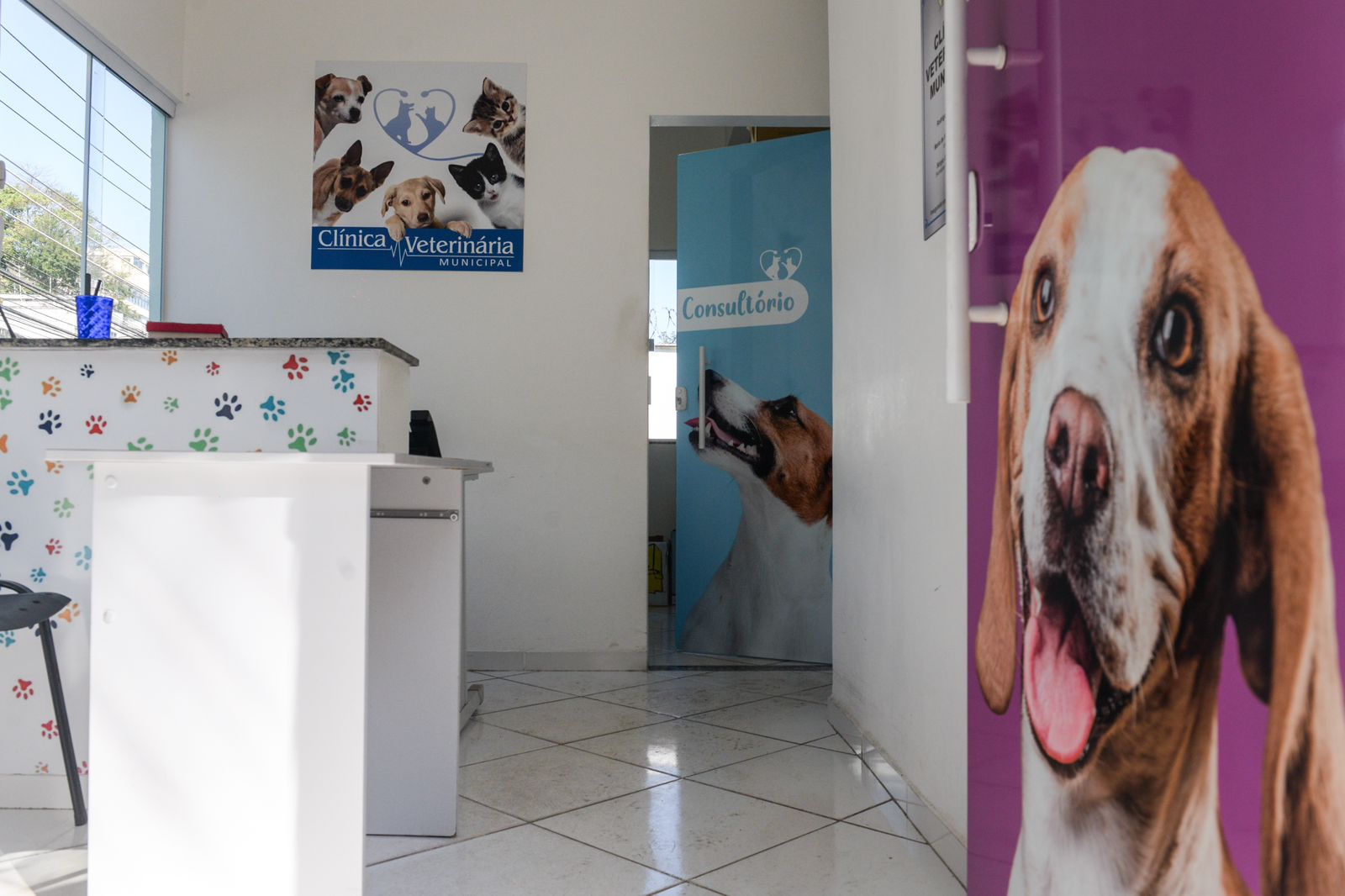 Clínica Veterinária Municipal é invade e objetos são furtados – Barra Mansa