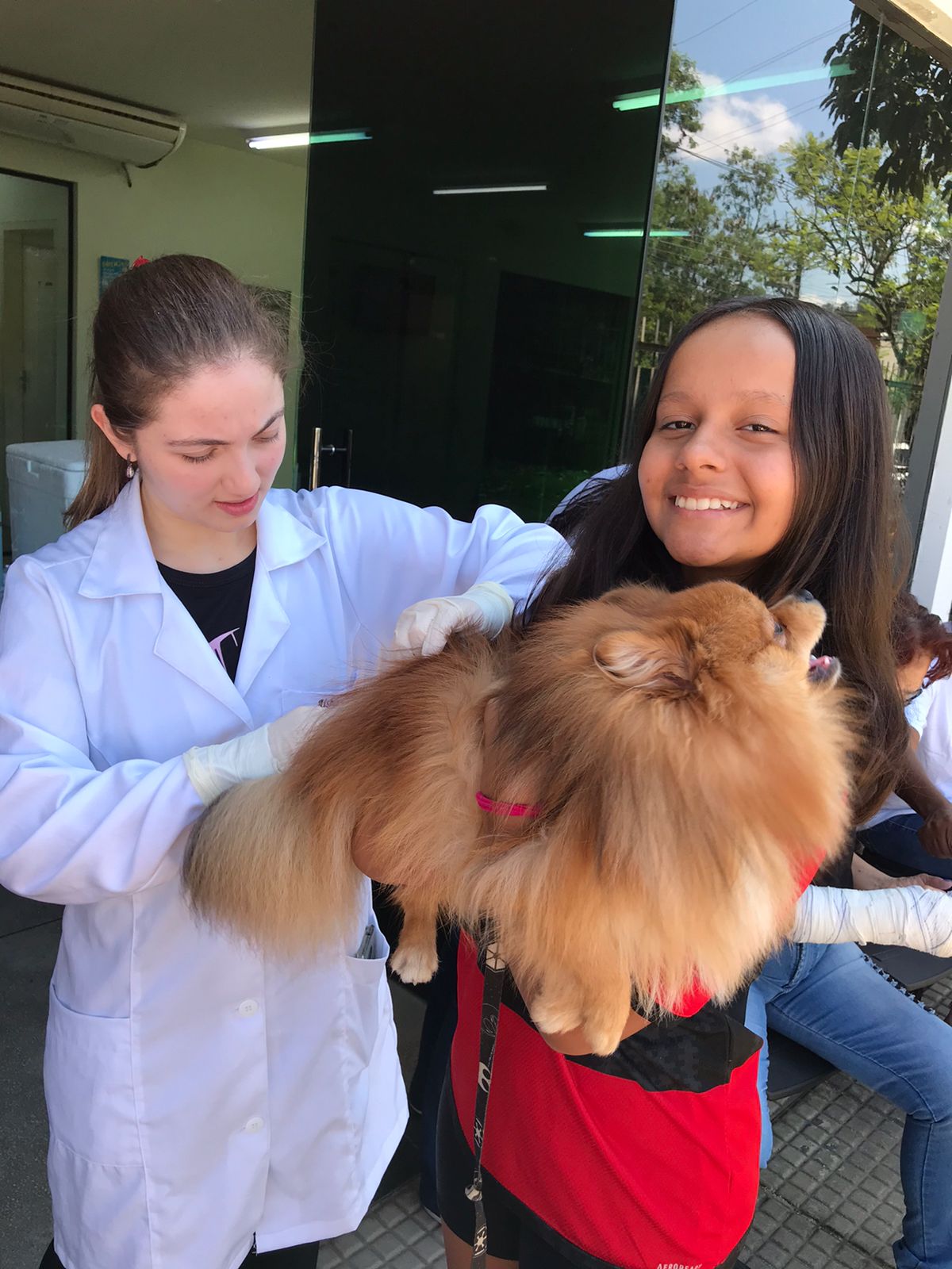Volta Redonda vacina mais de 3 mil animais e tem feira de adoção