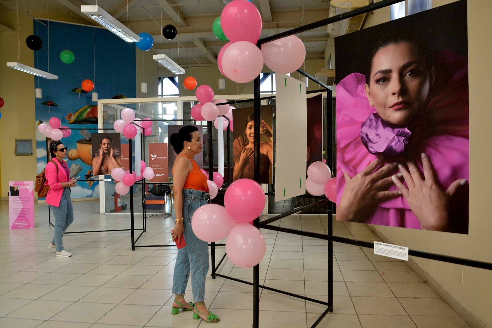 Exposição de fotografias em alusão à ‘Primavera Rosa’ é aberta na Biblioteca Municipal de Volta Redonda