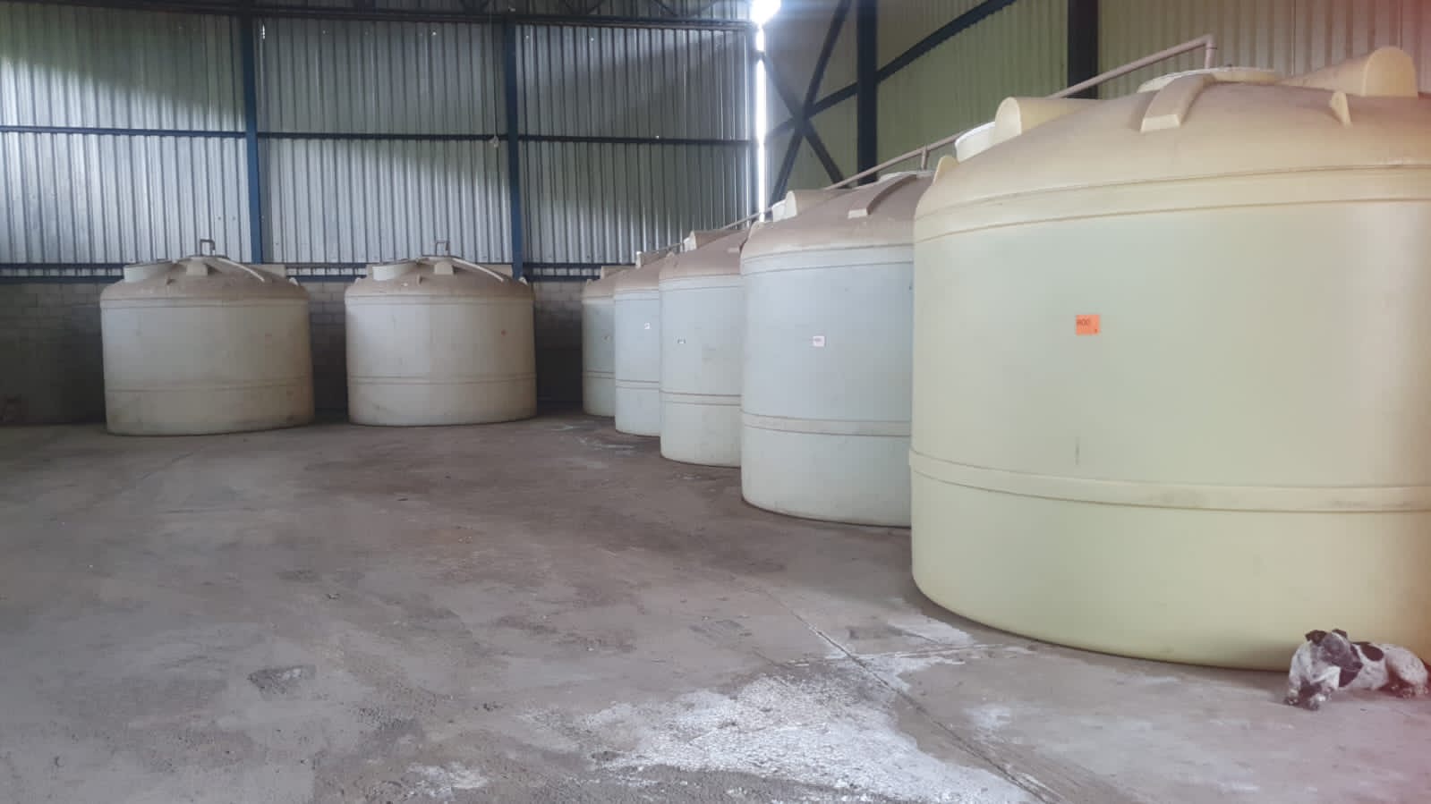 Guarda Ambiental de Barra Mansa interdita galpão de armazenamento de composto químico em Floriano – Barra Mansa