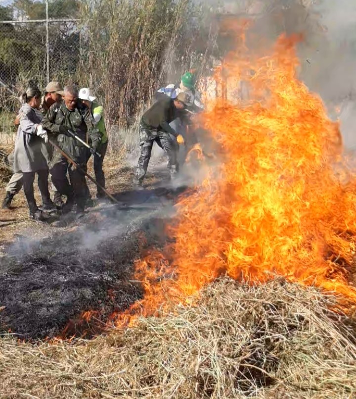 Inscrições para curso de formação de brigadista voluntário seguem abertas em Barra Mansa – Barra Mansa