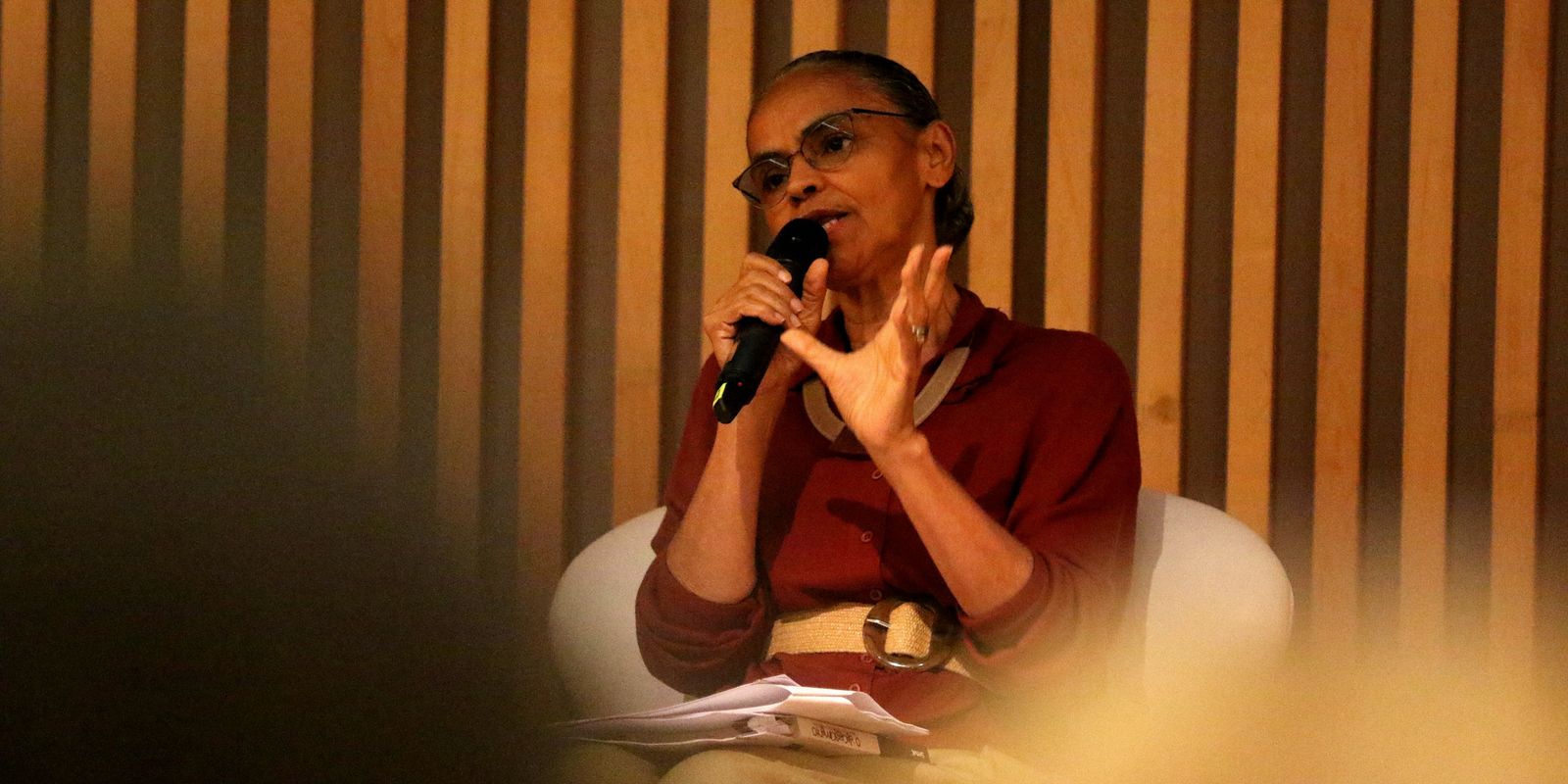 Brasil quer capital estrangeiro para financiar transformação ecológica